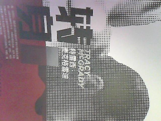 特雷西·麦克格雷迪：转身 实拍图