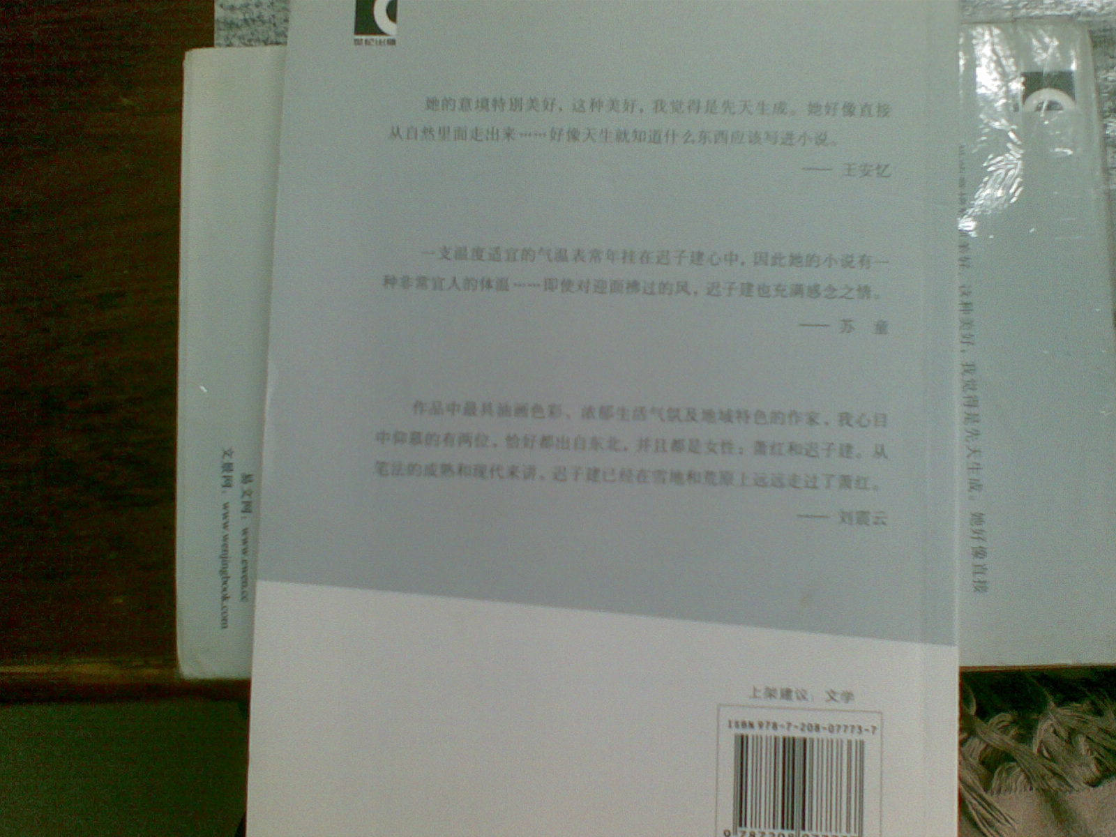 迟子建中篇小说集5：起舞 实拍图