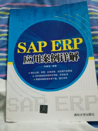 SAP ERP应用案例详解 实拍图