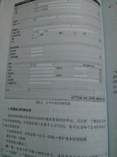 SAP ERP应用案例详解 实拍图