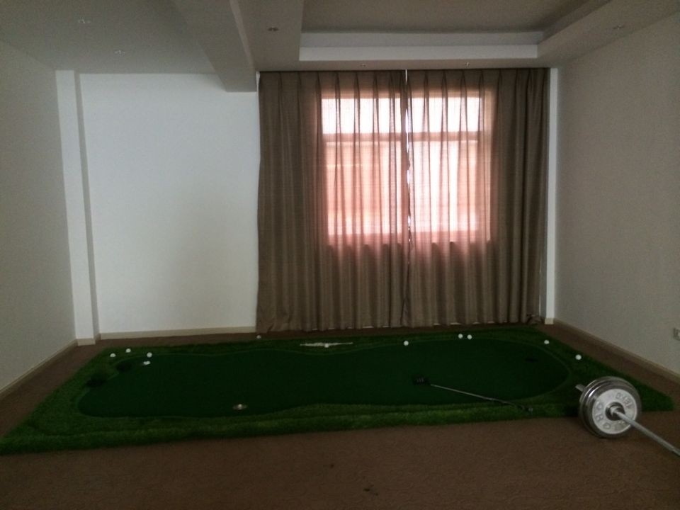 PGM 室内高尔夫 高尔夫推杆练习器 家庭高尔夫练习场 高尔夫果岭练习器 2*4M豪华升级版 晒单实拍图
