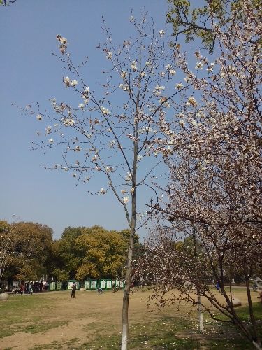 活法（大全集）（超值白金版） 实拍图