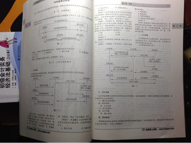 轻松过关（1）·2013年会计专业技术资格考试应试指导及全真模拟测试：初级会计实务 实拍图