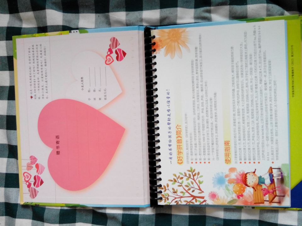 好学拼音（学生版）（附DVD-ROM光盘1张） 实拍图