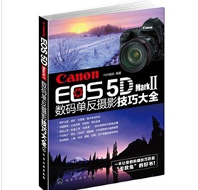 Canon EOS 5D Mark Ⅱ数码单反摄影技巧大全 实拍图