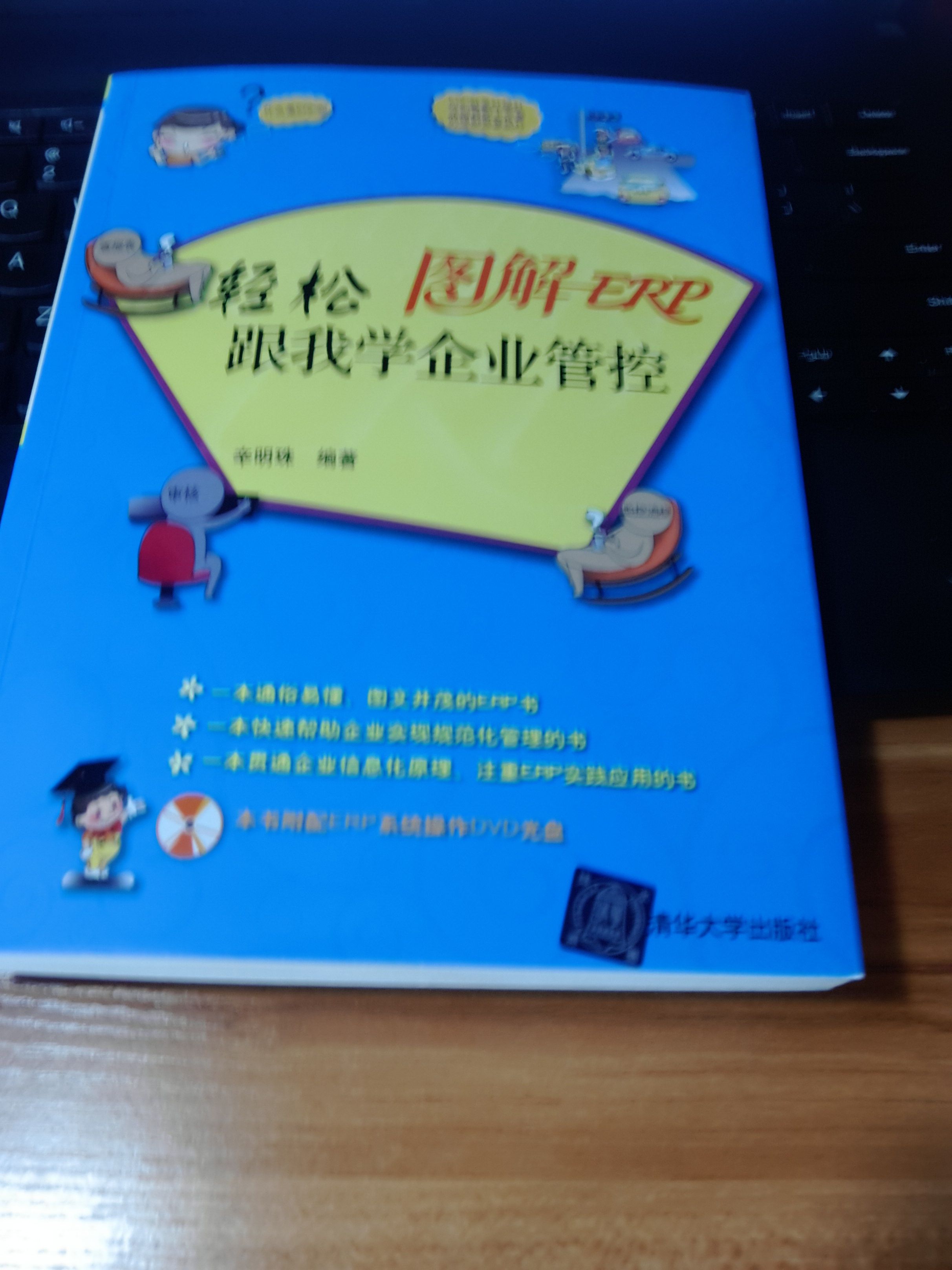 图解ERP：轻松跟我学企业管控（附DVD-ROM光盘1张） 实拍图