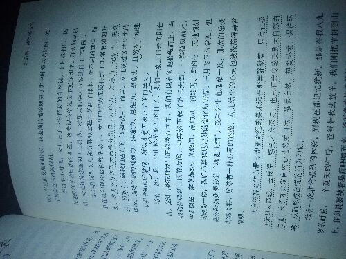 陪孩子走过小学六年：爱在自由里 实拍图