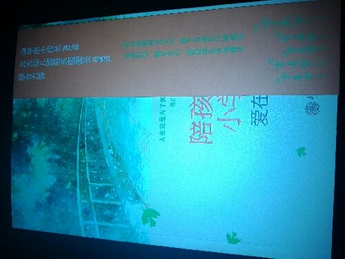 陪孩子走过小学六年：爱在自由里 实拍图