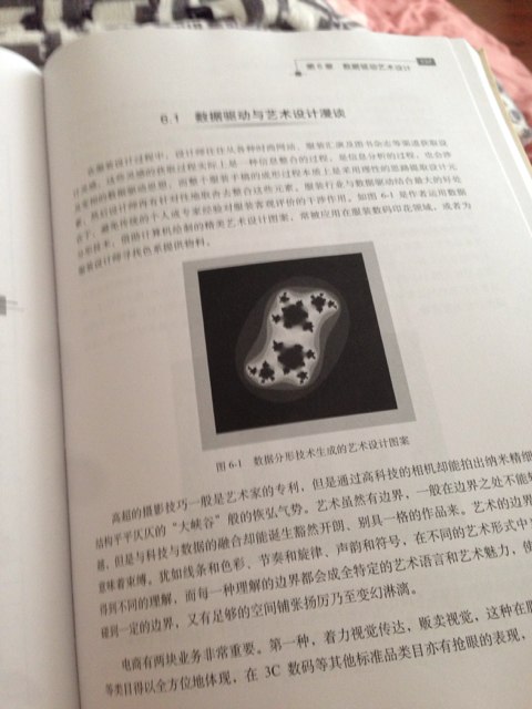 电商大数据：用数据驱动电商和商业案例解析(博文视点出品) 实拍图