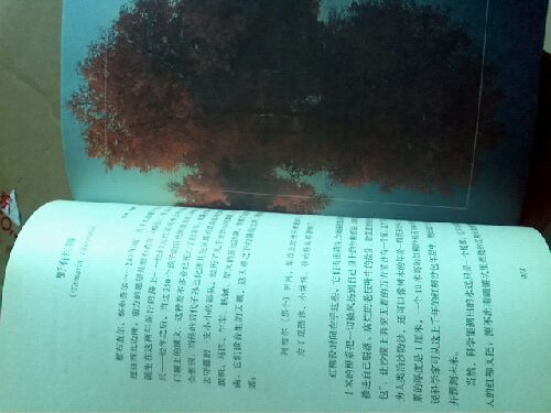 植物记2：从新疆到海南 实拍图