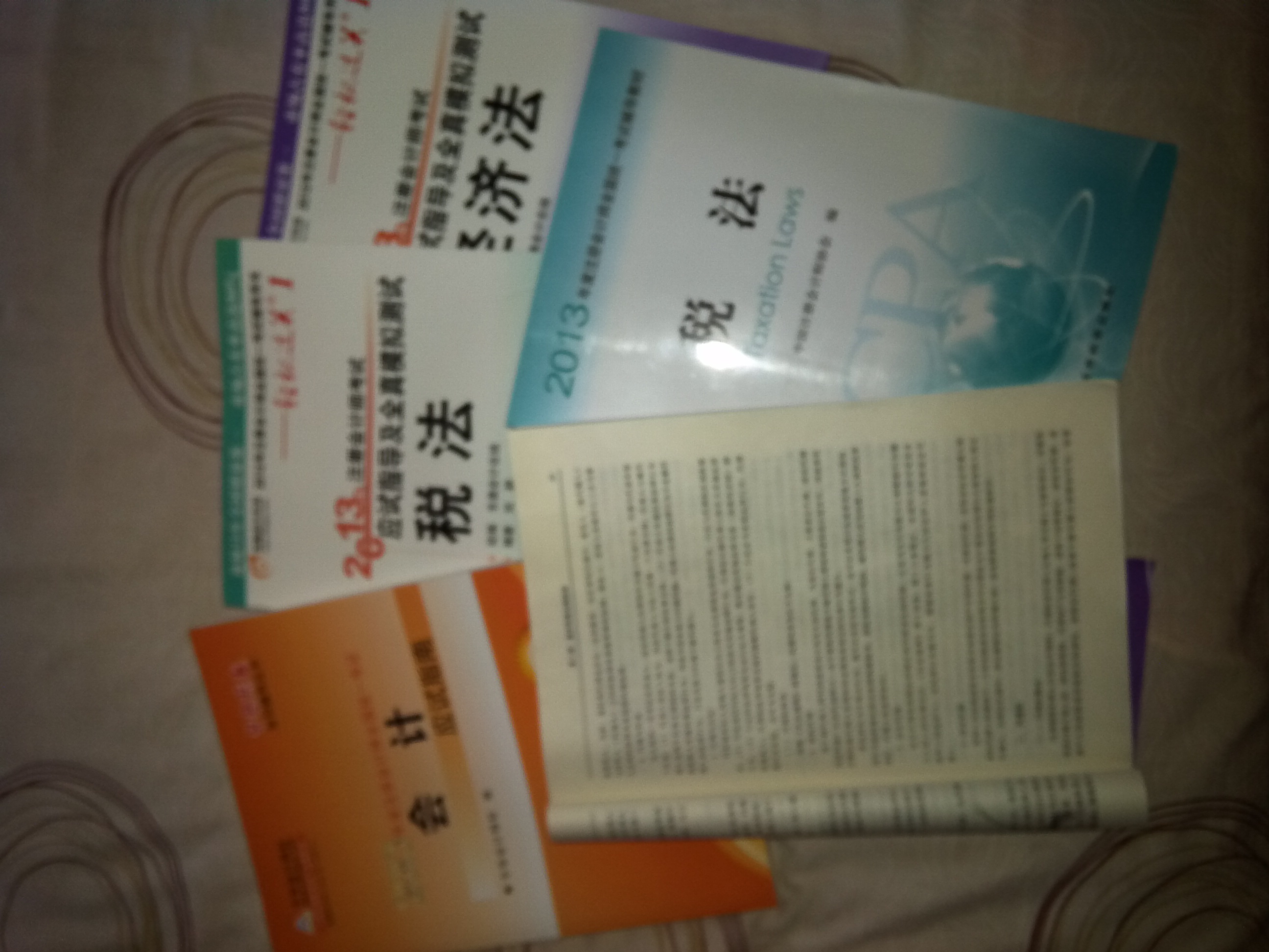 2013年注册会计师考试应试指导及全真模拟测试·轻松过关1：税法 实拍图