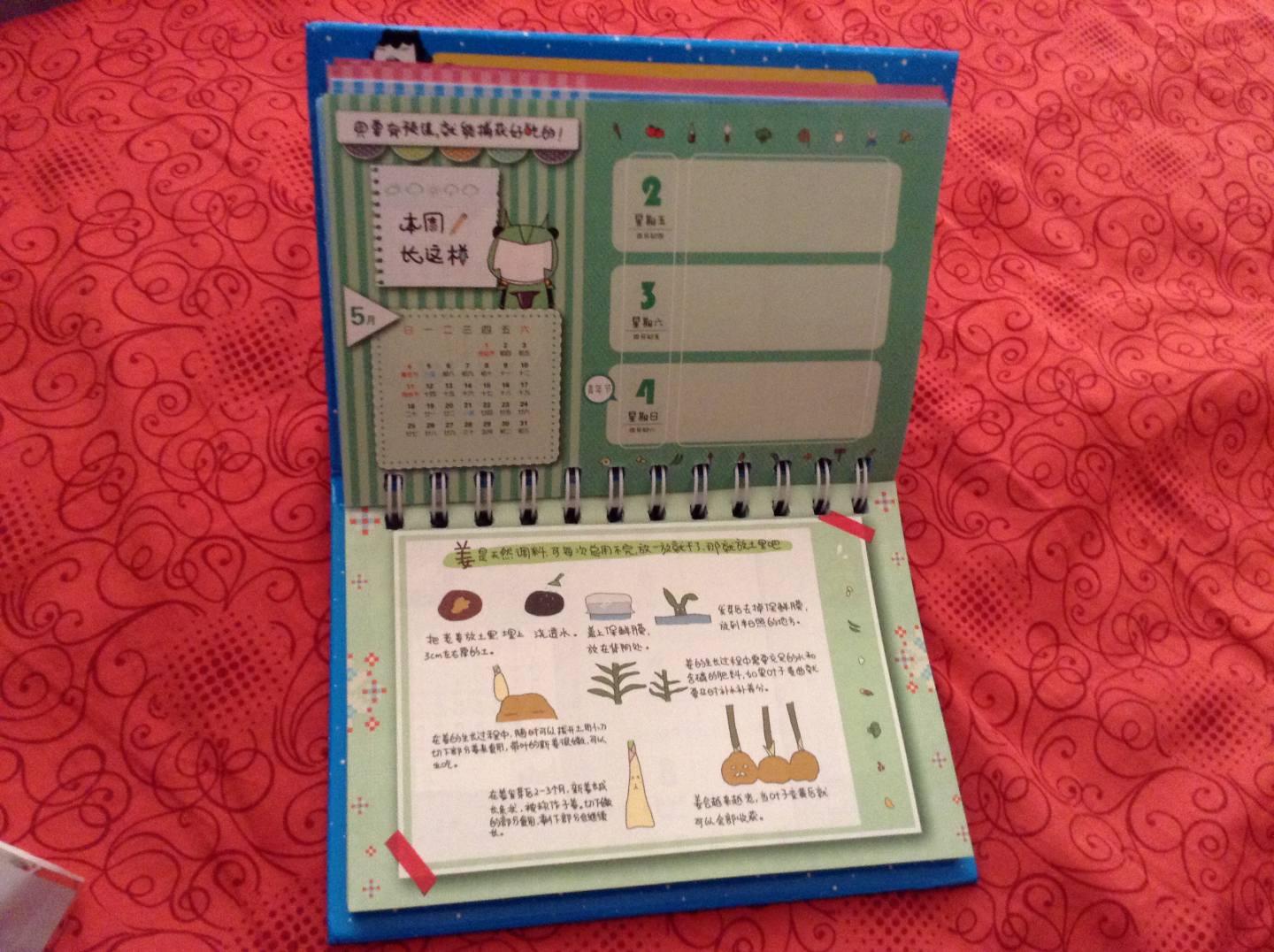 我的小煮意之马年台历书：吃货星的斗士们 实拍图