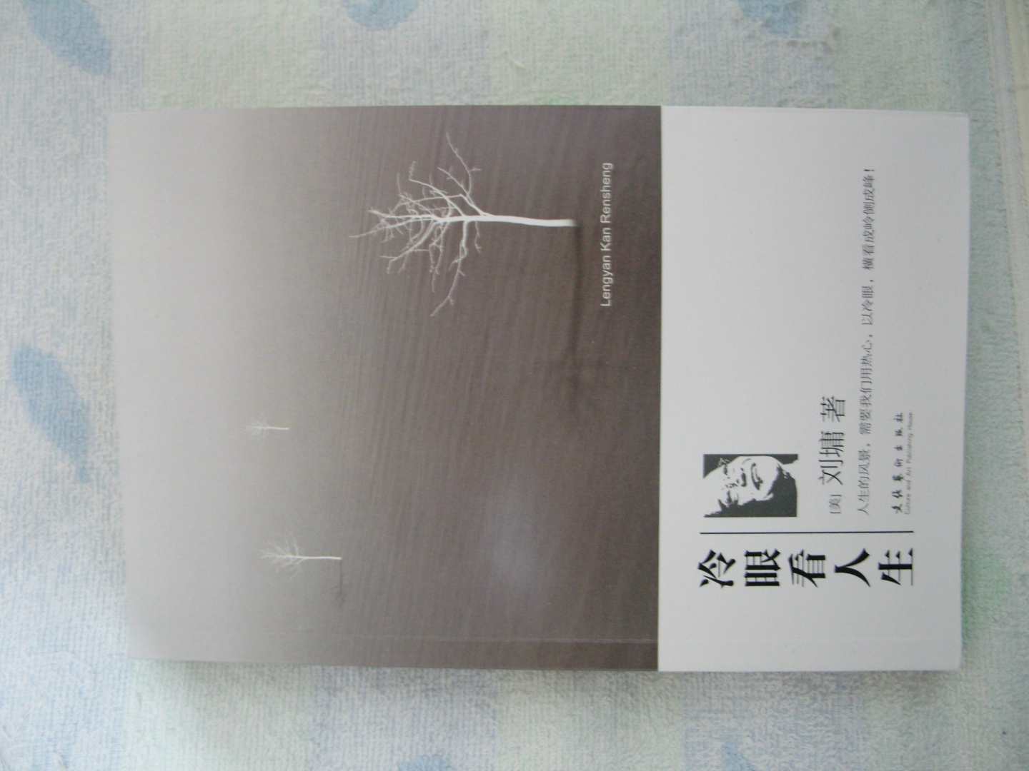 冷眼看人生 实拍图