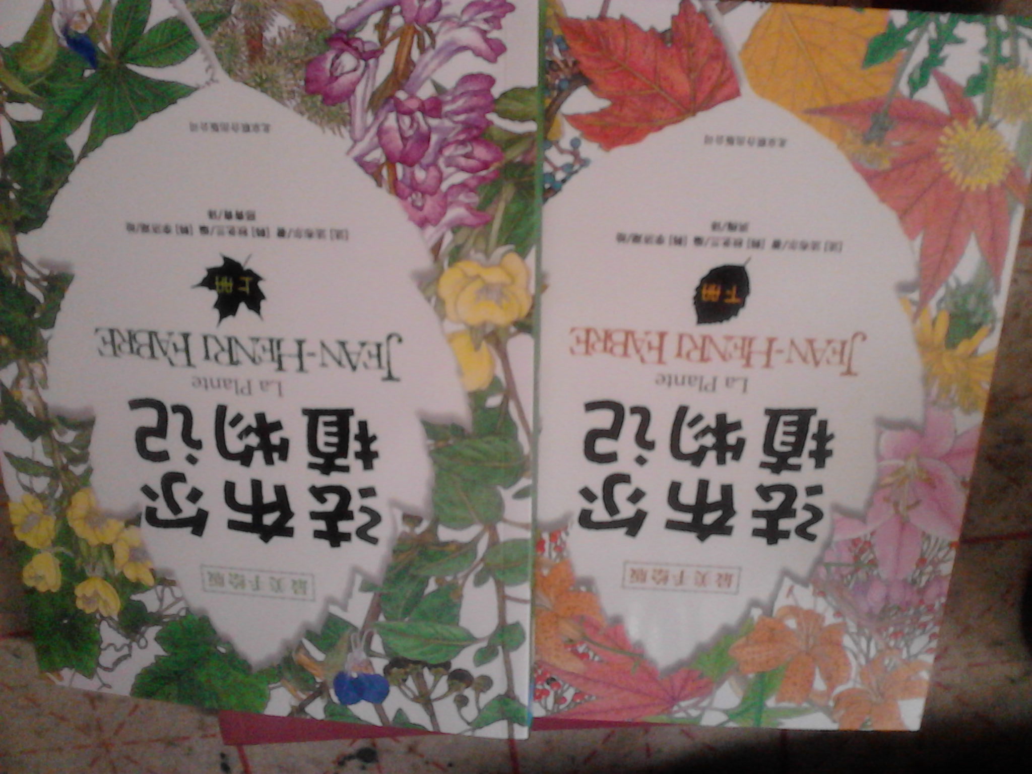 观花植物1000种经典图鉴（超值白金版） 实拍图