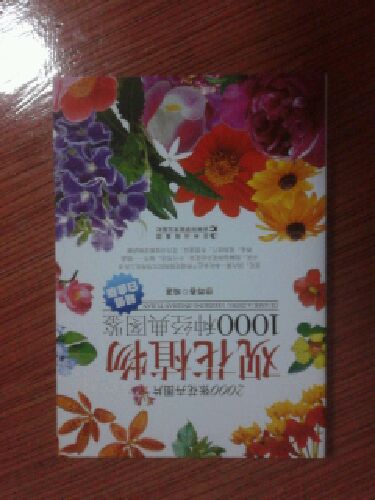 观花植物1000种经典图鉴（超值白金版） 实拍图