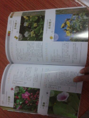 观花植物1000种经典图鉴（超值白金版） 实拍图