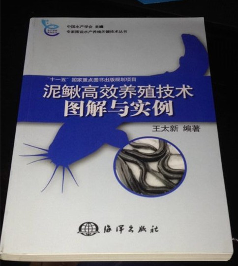 泥鳅高效养殖技术图解与实例 实拍图