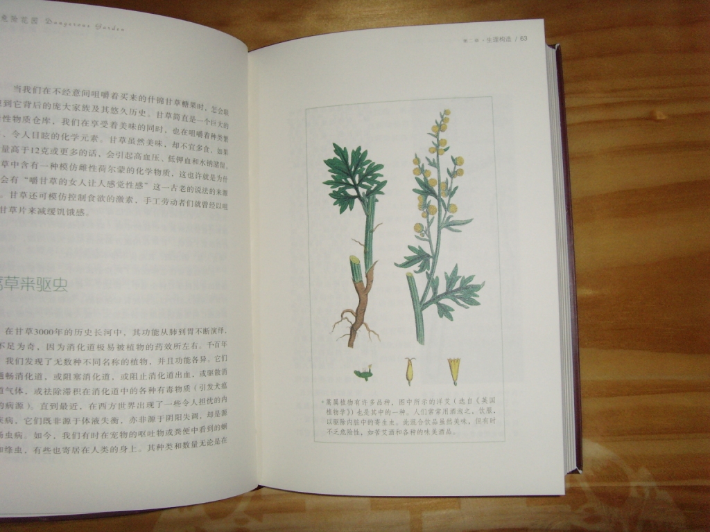 悠享优阅图文馆：危险花园 实拍图