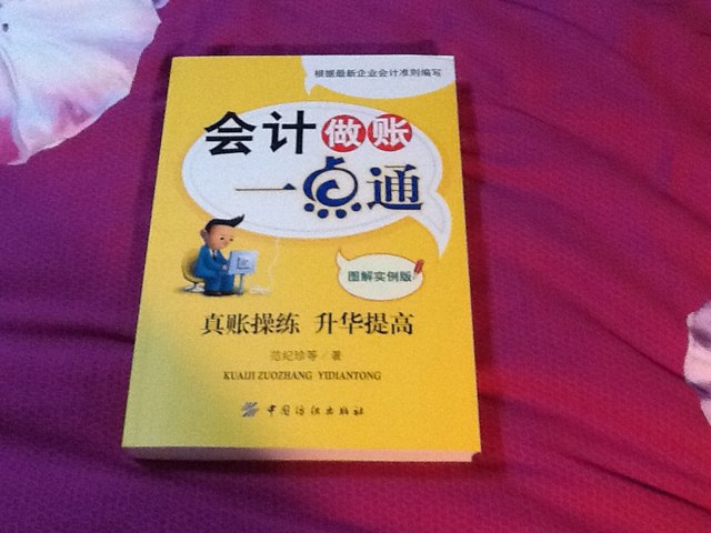 会计做账一点通（图解实例版） 实拍图