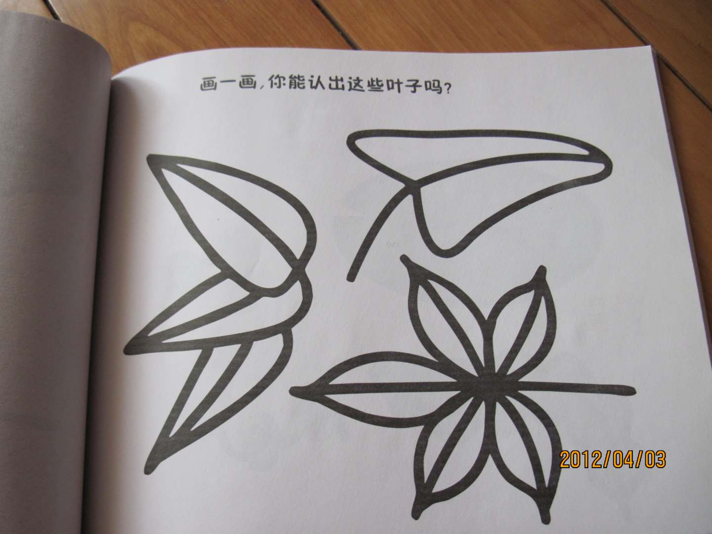 幼儿启蒙大全·小宝贝学画：植物 晒单实拍图