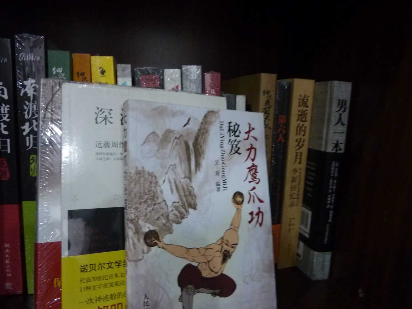 大力鹰爪功秘笈 实拍图