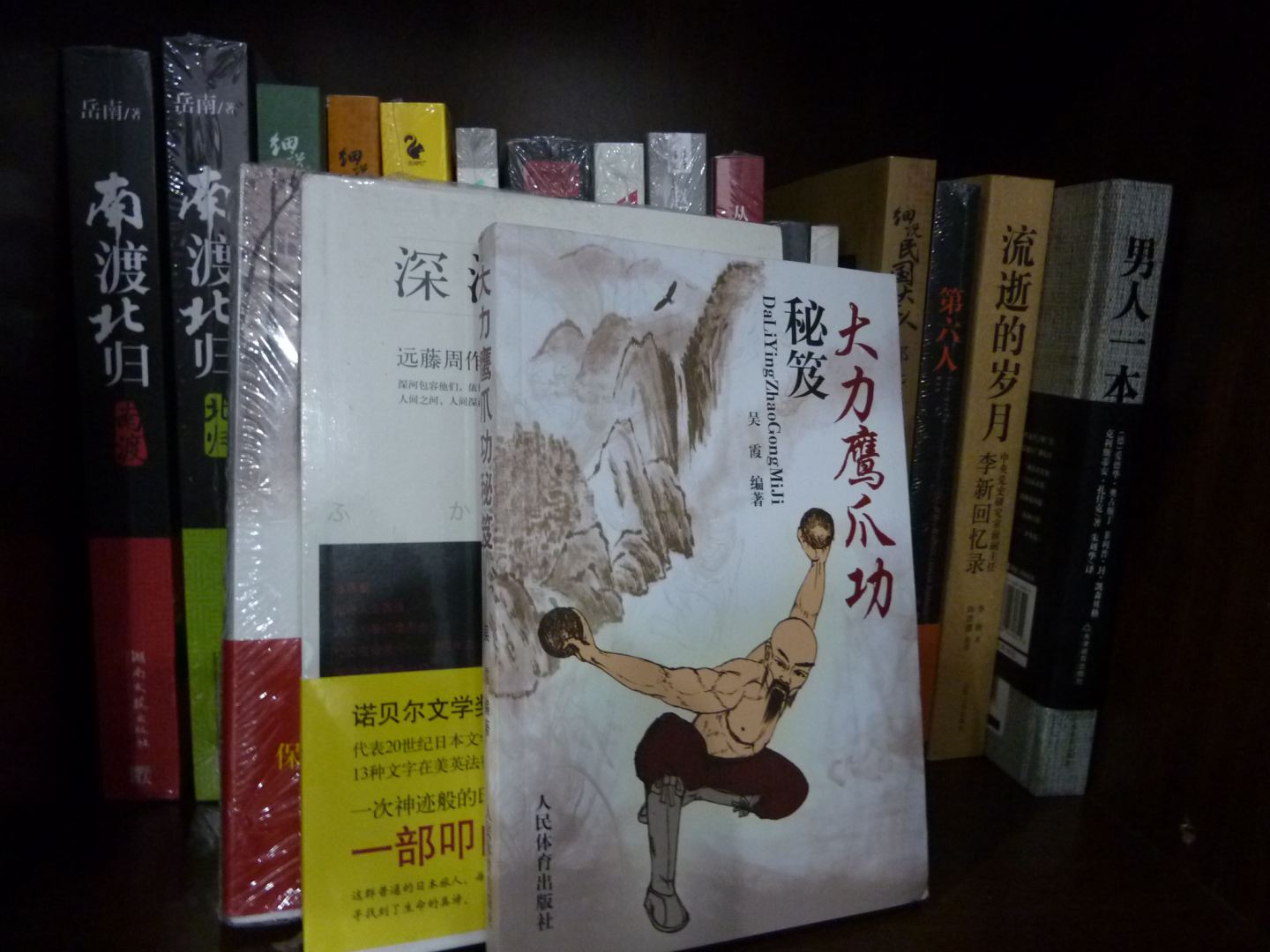 大力鹰爪功秘笈 实拍图