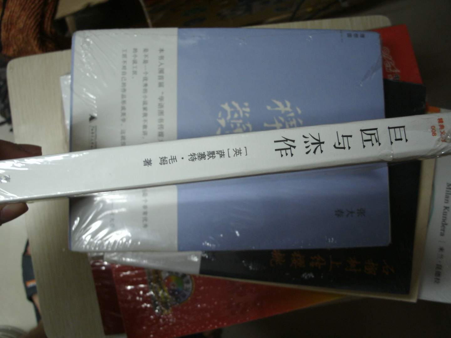 巨匠与杰作 实拍图