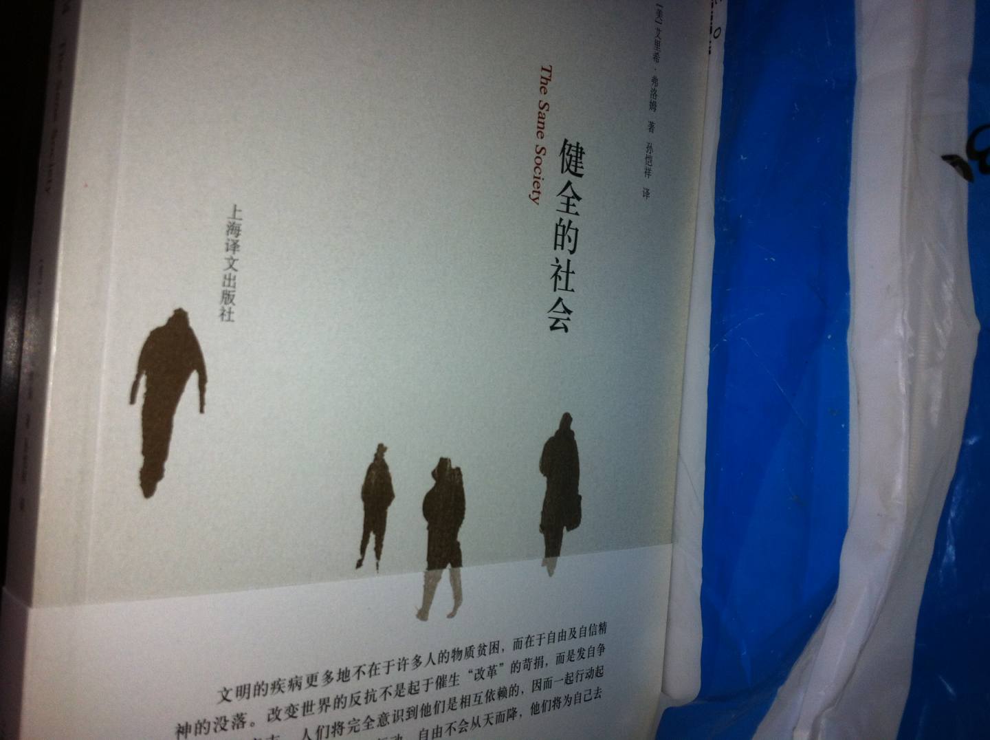 健全的社会 实拍图