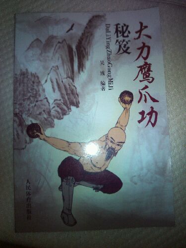 大力鹰爪功秘笈 实拍图
