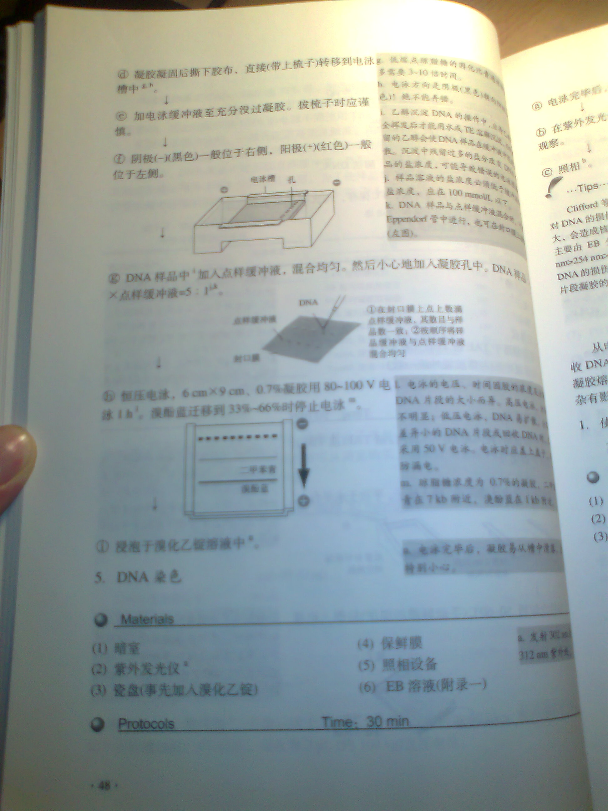 生命科学实验指南系列：现代分子生物学实验原理与技术 实拍图