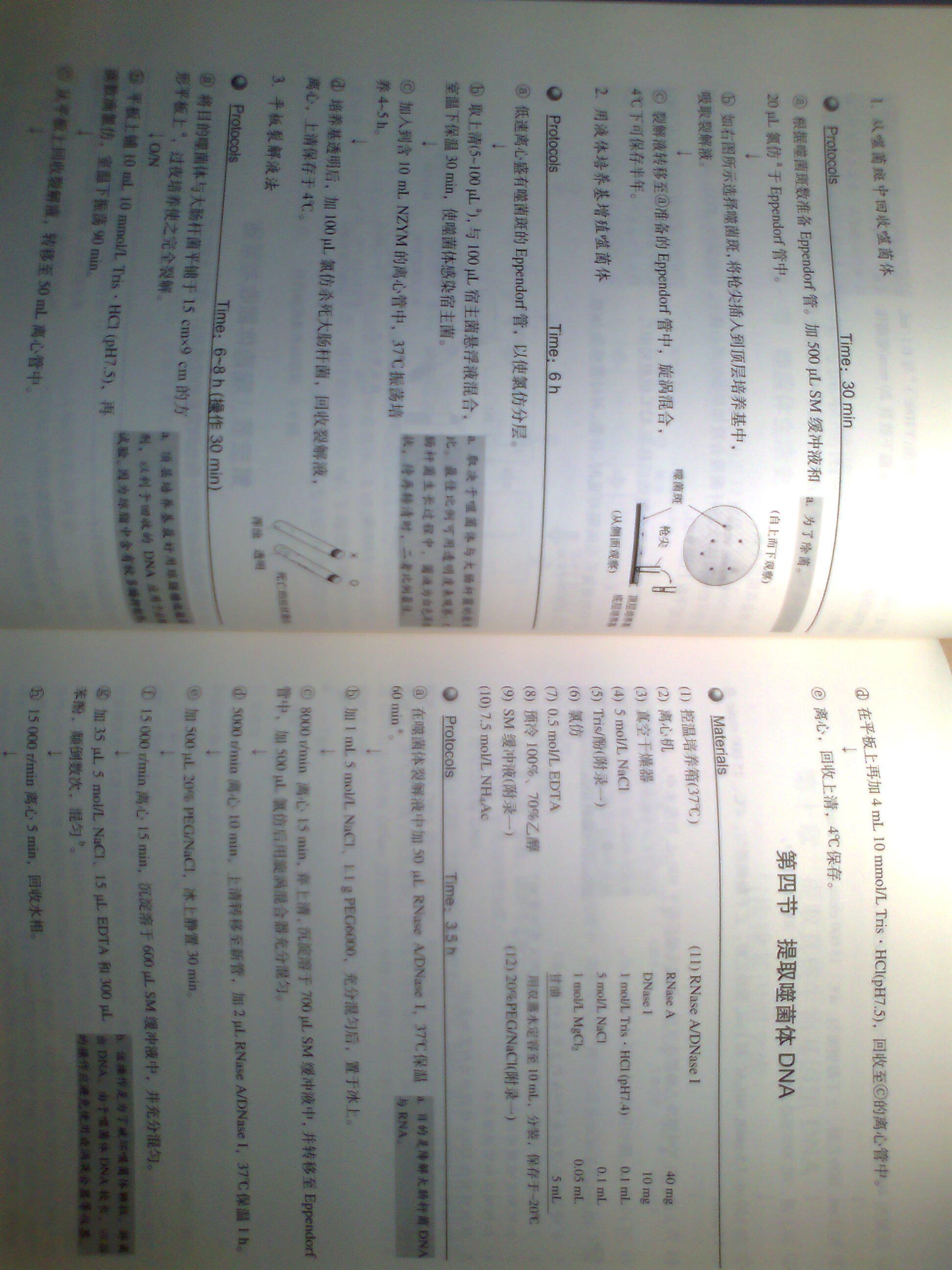 生命科学实验指南系列：现代分子生物学实验原理与技术 实拍图