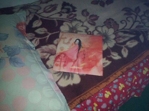 严艺丹：无·果（CD）（京东专卖） 实拍图