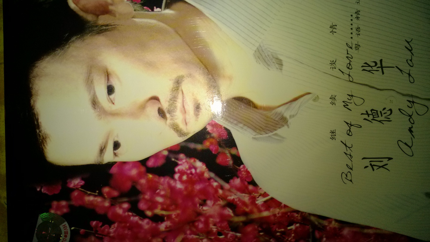 刘德华：继续谈情（新歌大碟＋粤语精选）（2CD精装版）（京东专卖） 实拍图