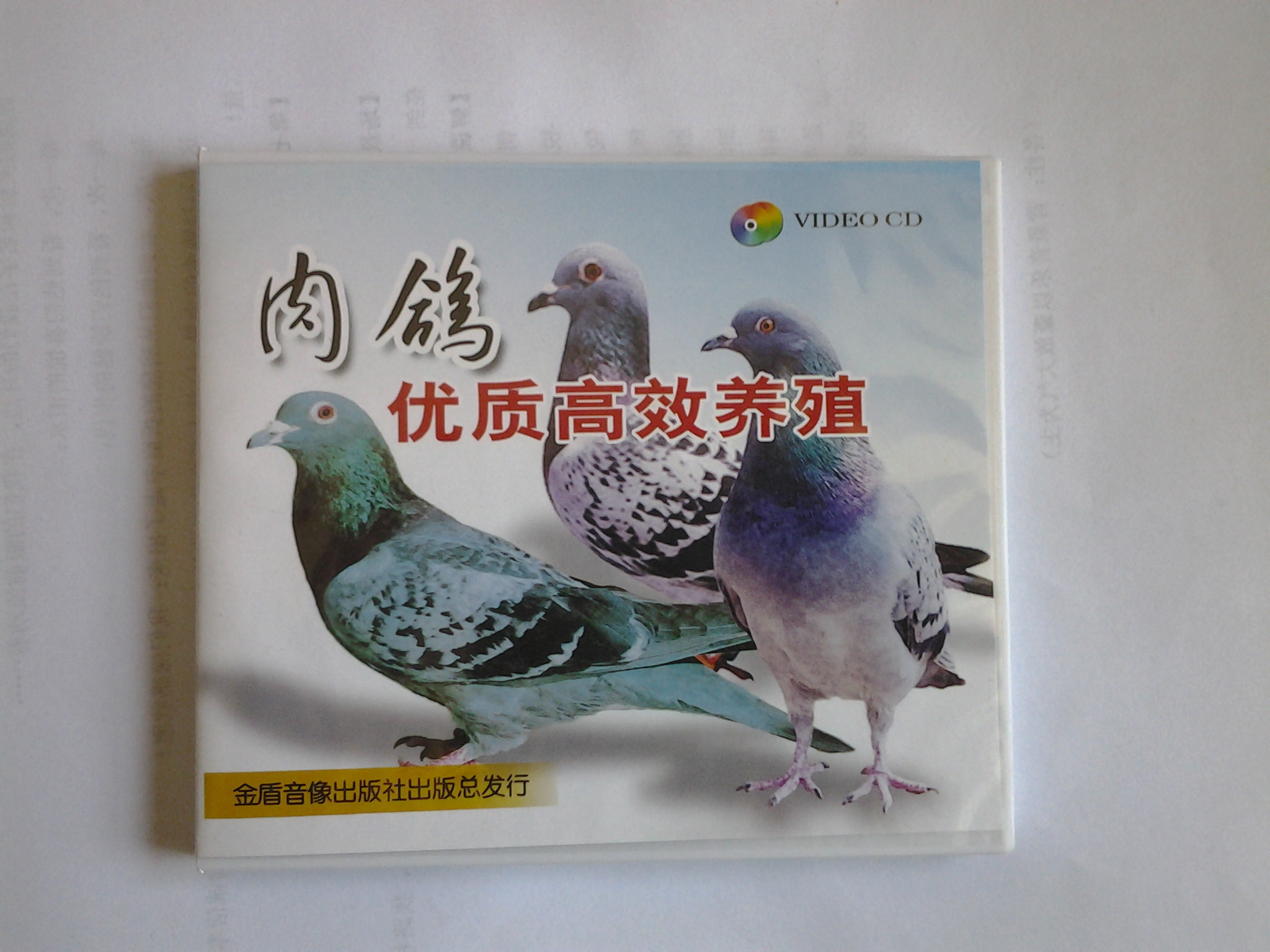 肉鸽优质高效养殖（VCD） 实拍图