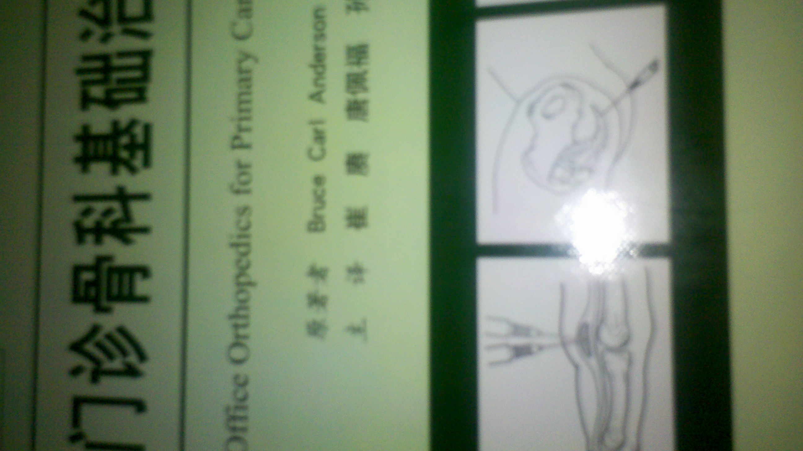 实用骨科影像学（翻译版）（原书第5版） 实拍图