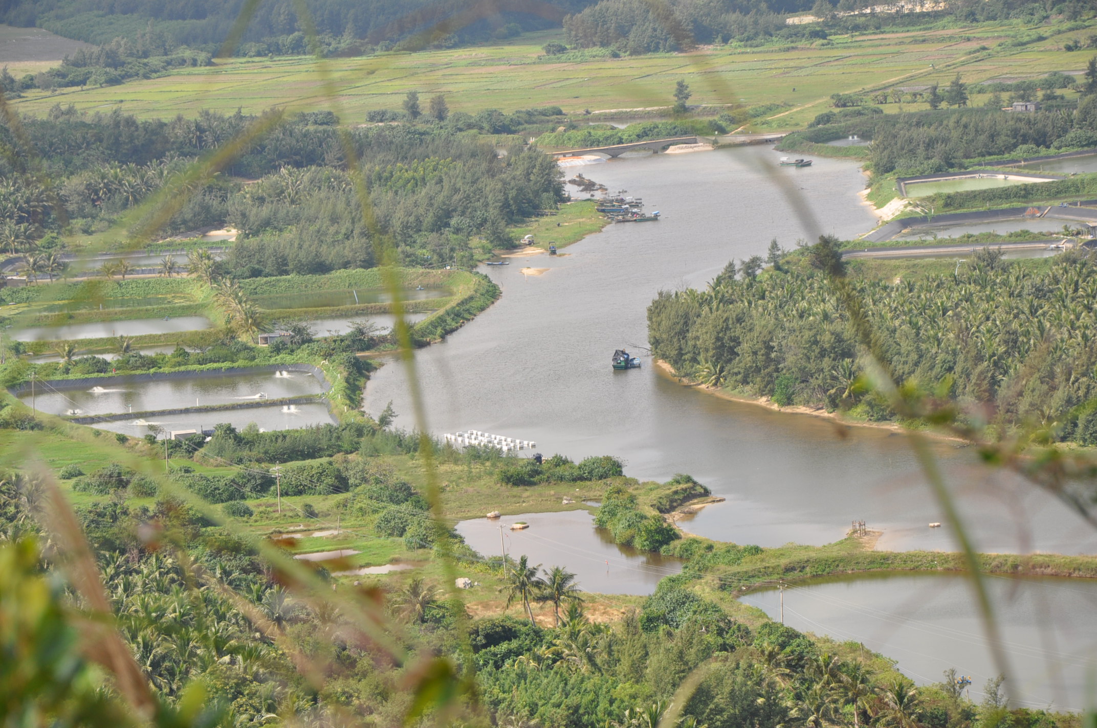 尼康D90数码单反摄影完全指南 晒单实拍图