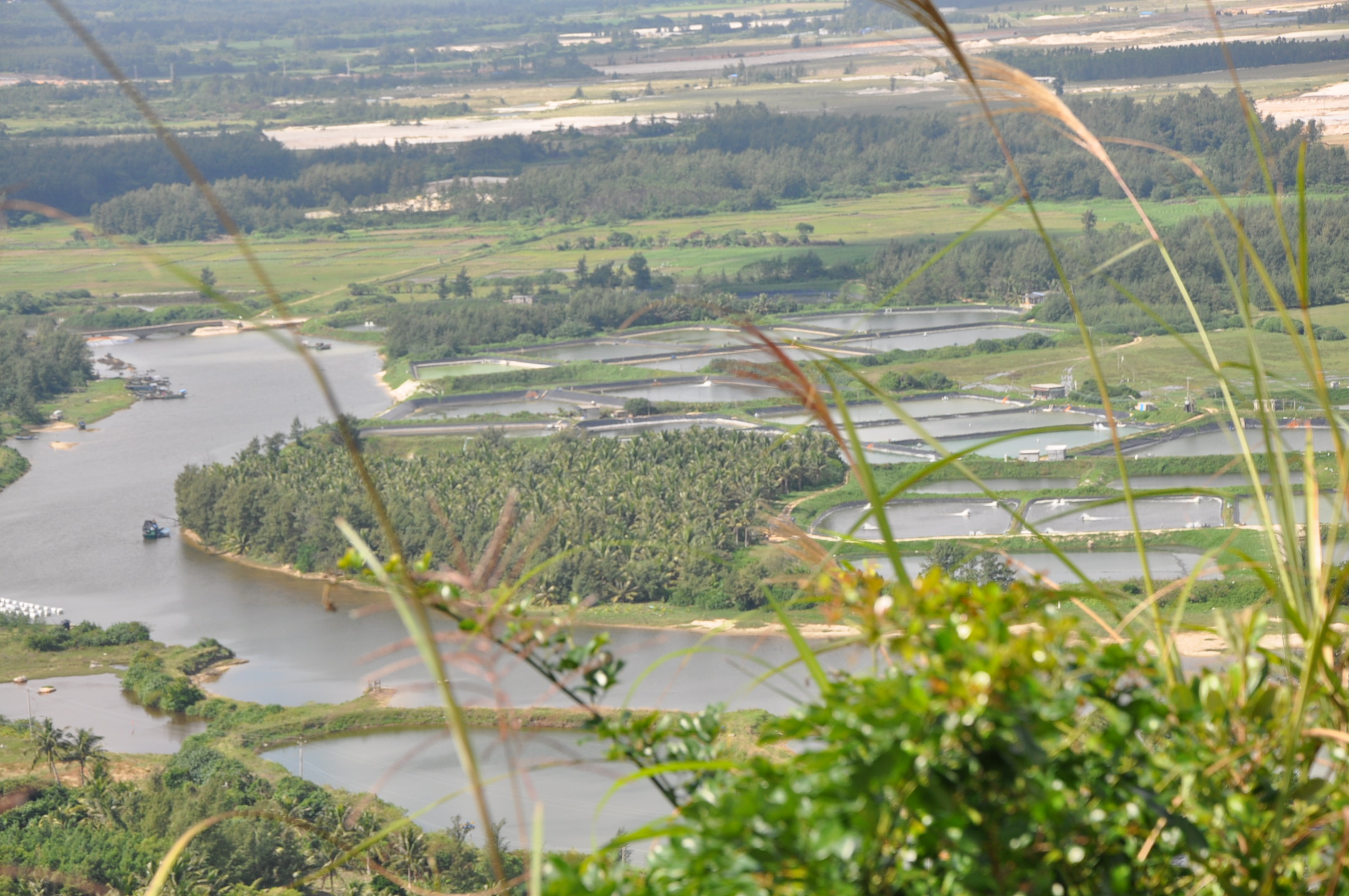 尼康D90数码单反摄影完全指南 晒单实拍图