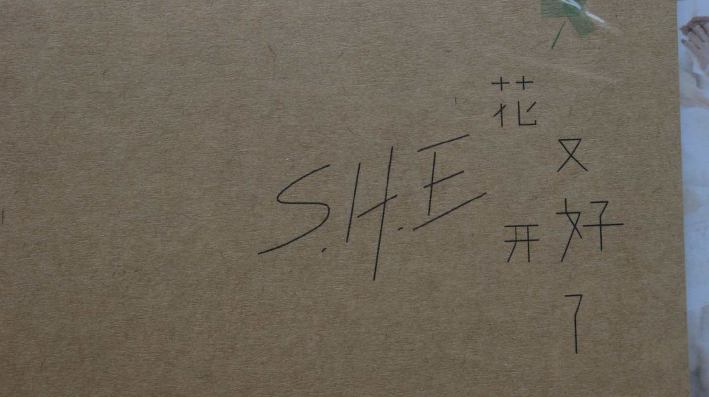 S.H.E：花又开好了一起的美好（豪华预购限量版）（CD+DVD） 实拍图