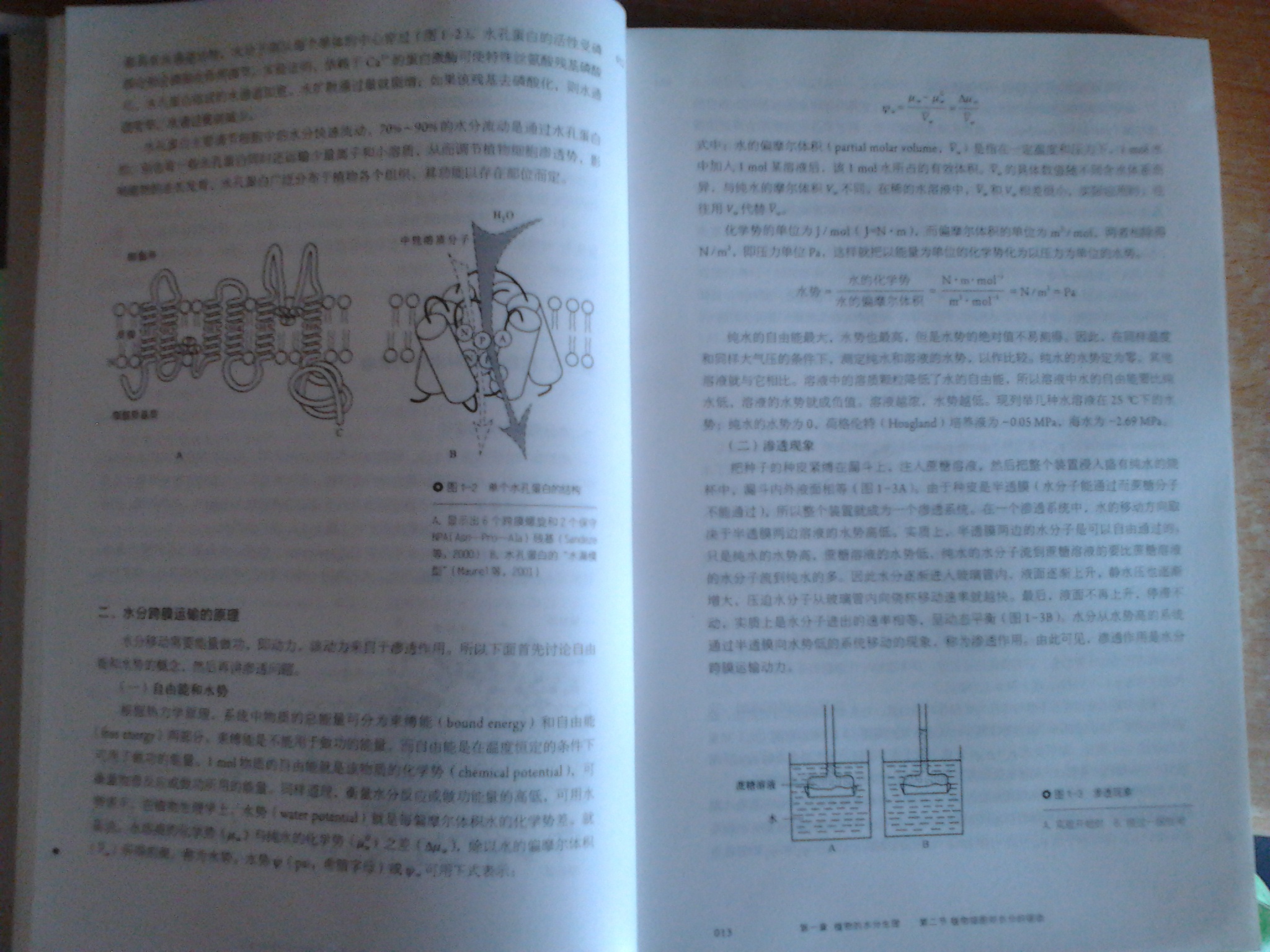 植物生理学（第7版）/普通高等教育“十一五”国家级规划教材 实拍图