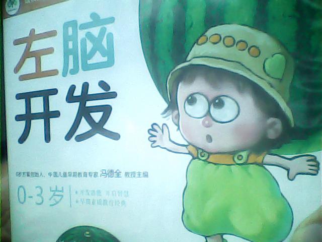 宝宝识字（4VCD+冯氏早教指导说明书） 实拍图