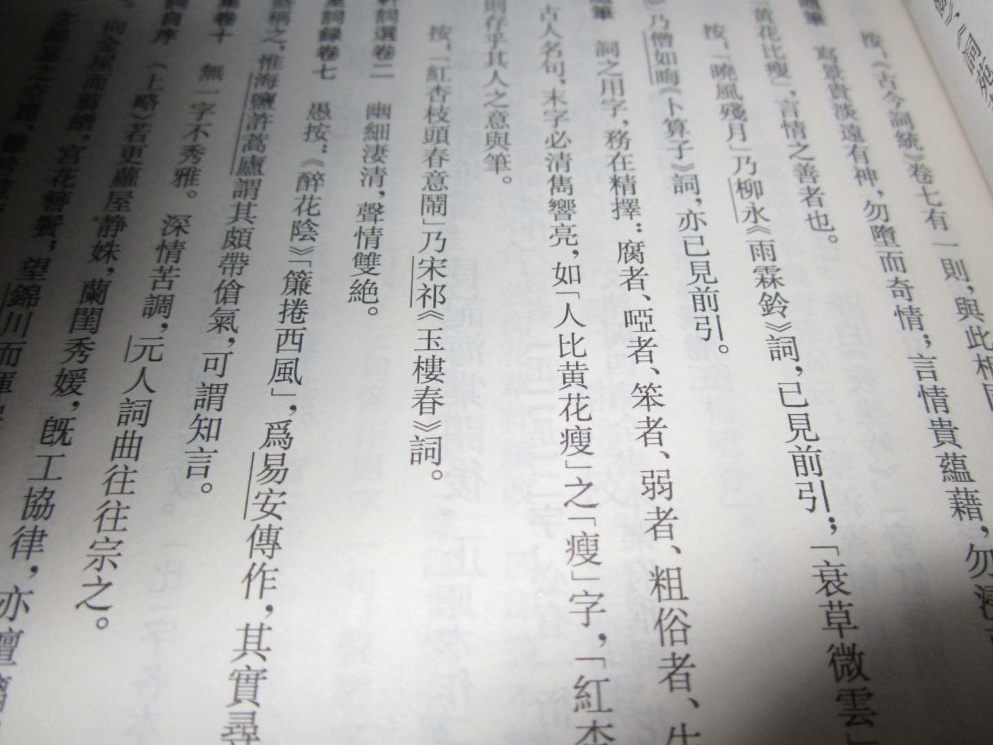 李清照集校注 实拍图