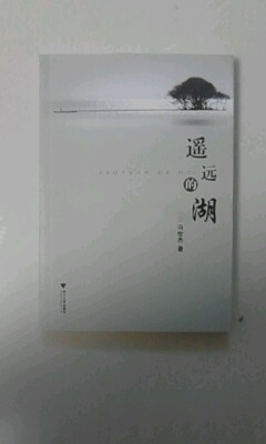 遥远的湖 实拍图