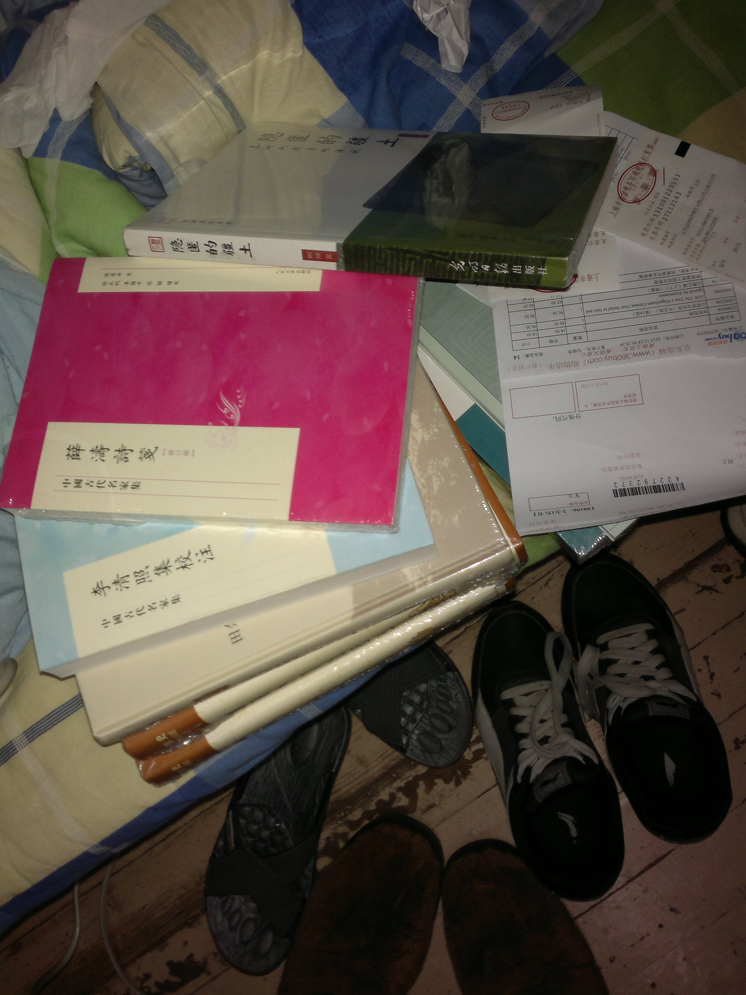 李清照集校注 实拍图