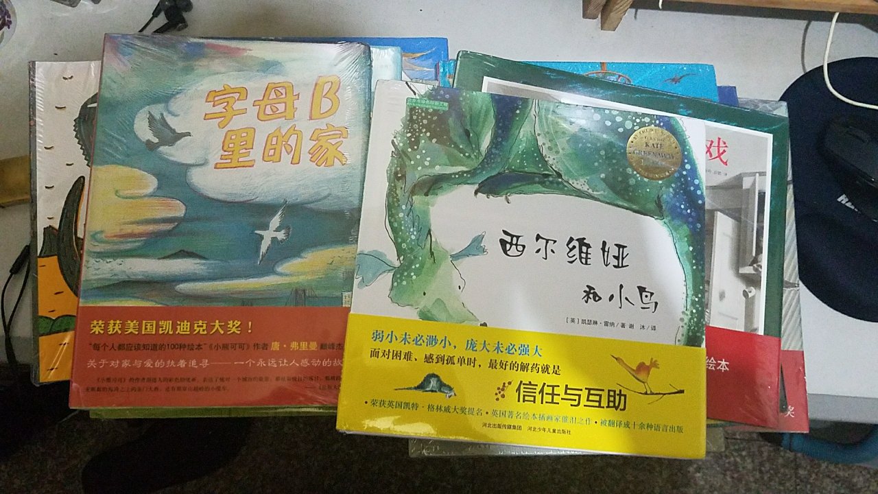 非常好，价格便宜质量好，速度很快。