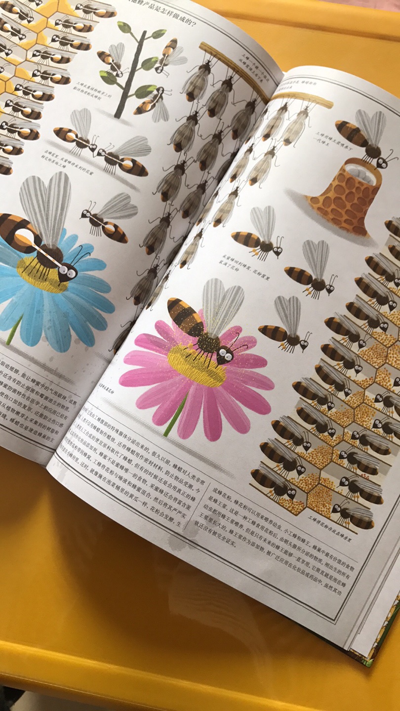这本“蜜蜂”真的很不错?，开页很大的一个本，纸张很棒，印刷清晰，内容丰富，很喜欢。