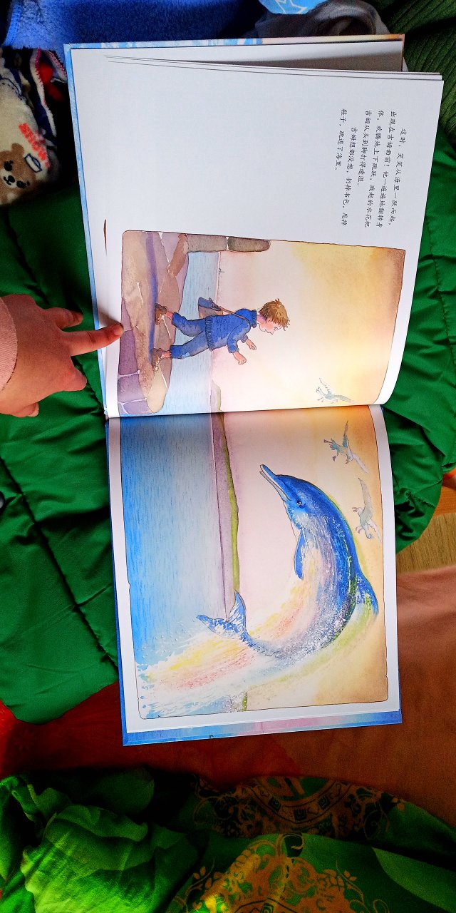 《海豚男孩》讲述了小男孩救下搁浅的海豚，海豚给给大家带来无限欢乐。《你见过小精灵吗？》符合孩子的天性，更让孩子爱上大自然。两本书都很不错！