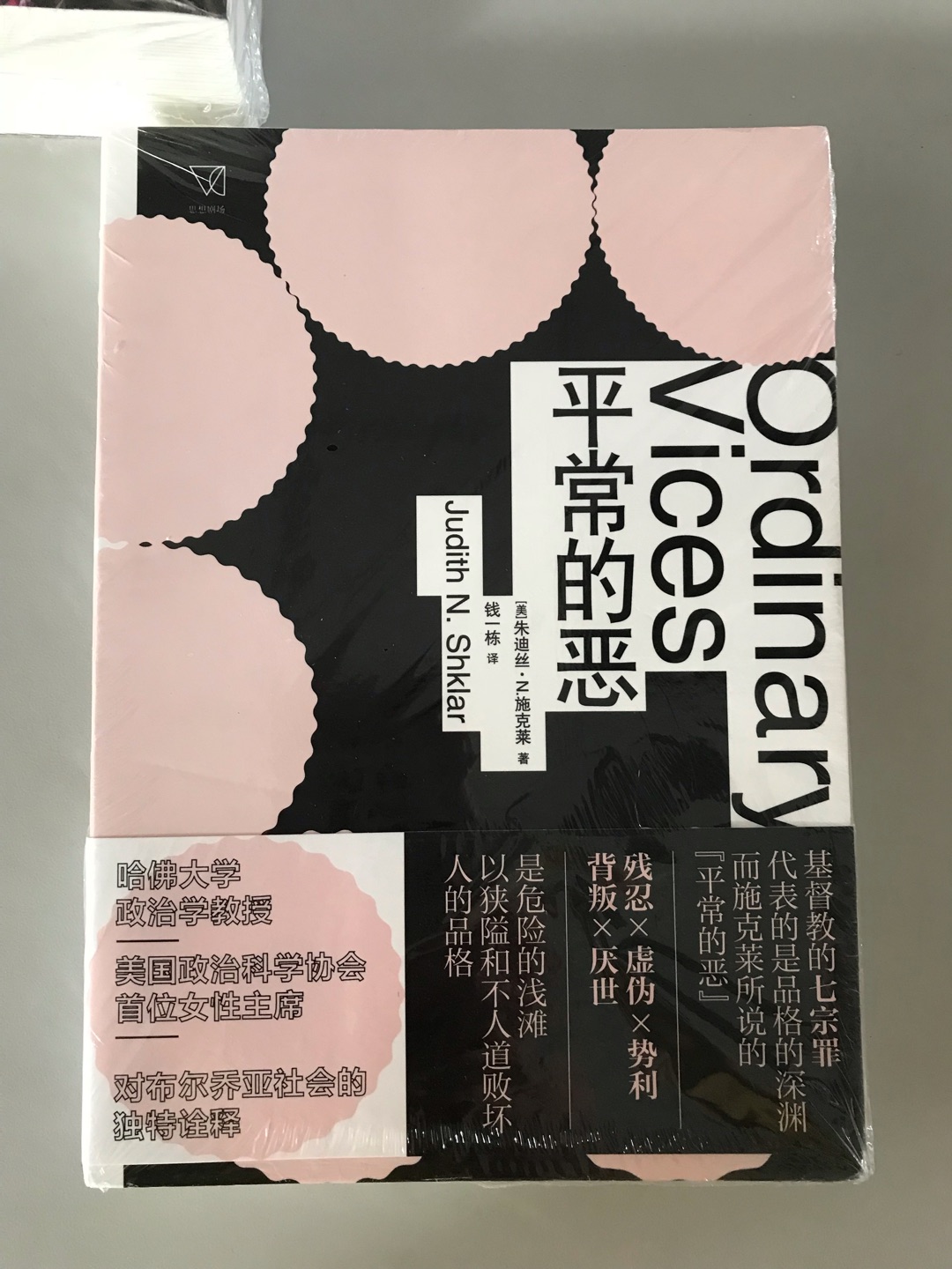 在西方的基督教教义中指出人的***——贪食、色欲、贪婪、伤悲、暴怒、懒惰、傲慢，是人类性格的深渊面，而施克莱在本书中提出了“平常的恶”的概念，认为残酷、虚伪、傲慢、背叛和愤世嫉俗等，不过是浅滩暗礁，以充满活力和野蛮的方式成为人类性格的瑕疵。 施克莱从一批伟大的作家的作品的解读——莫利哀和狄更斯的虚伪，简?奥斯汀的势利，莎士比亚和孟德斯鸠的愤世嫉俗，霍桑和尼采的残酷，康拉德和福克纳的背叛——揭示了恶的本质及其影响。她审视了它们的破坏性影响，及其对**和公民的影响。