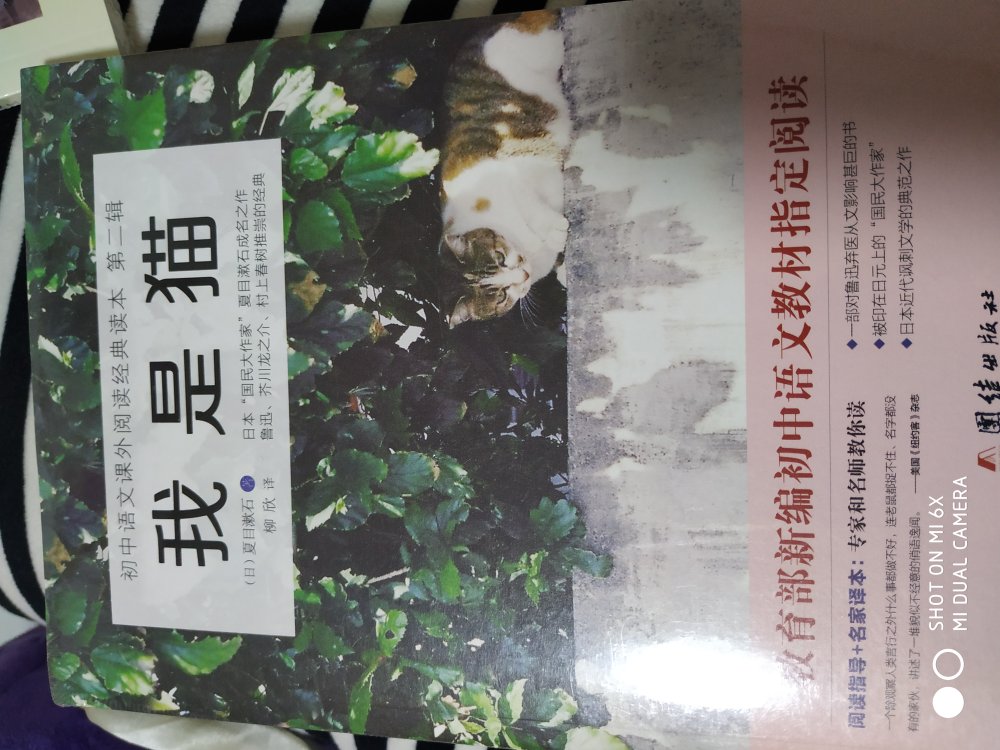 当大家看到我的这一篇评价时，表示我对产品是认可的，尽管我此刻的评论是复制粘贴的。这一方面是为了肯定商家的服务，另一方面是为了节省自己的时间，因为差评我会直接说为什么的。所以大家就当做是产品质量合格的意思来看就行了。最后祝店家越做越好，大家幸福平安，中华民族繁荣昌盛。