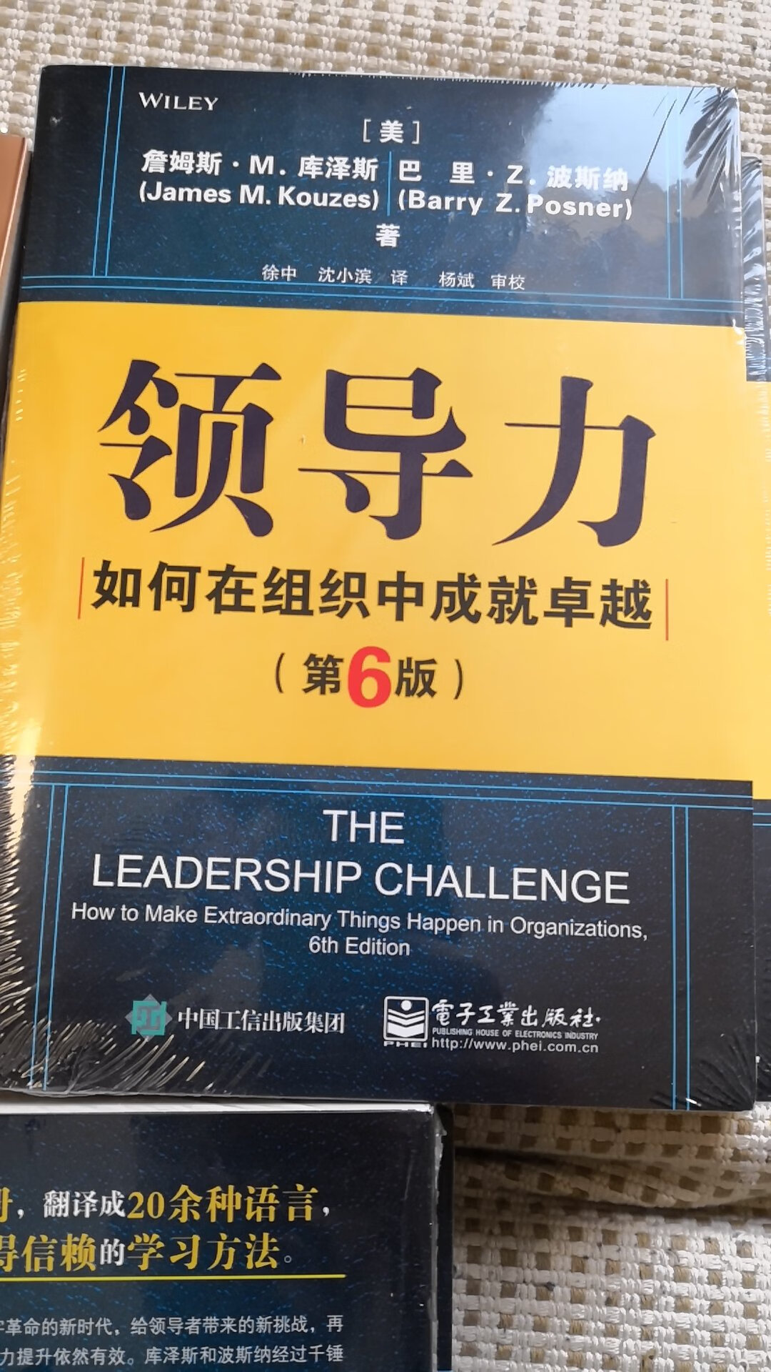 领导力这书，领导让买的，学习学习挺好，能了解了解领导做的事是为什么？也给将来的自己打算?