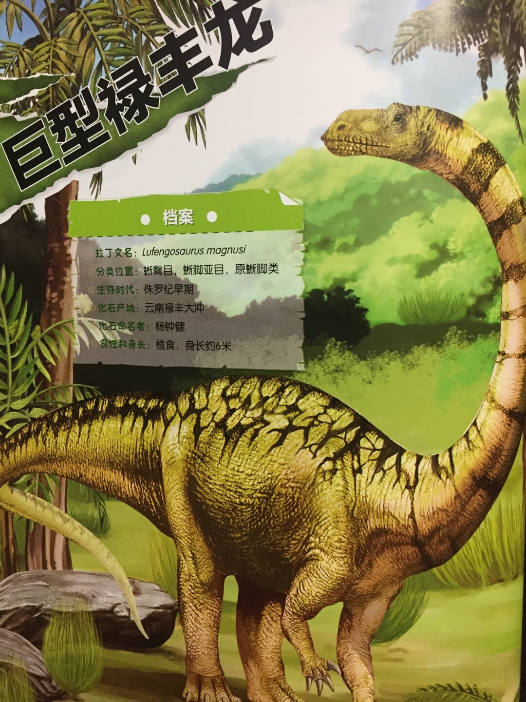 哇，恐龙来了！多幅精美图片准确还原史前恢弘场景，妙趣横生的解说词带你亲身徜徉远古世界。所有你想知道的，你不知道的，有关于史前生物的一切，都将在《中国恐龙百科全书》中找到答案！